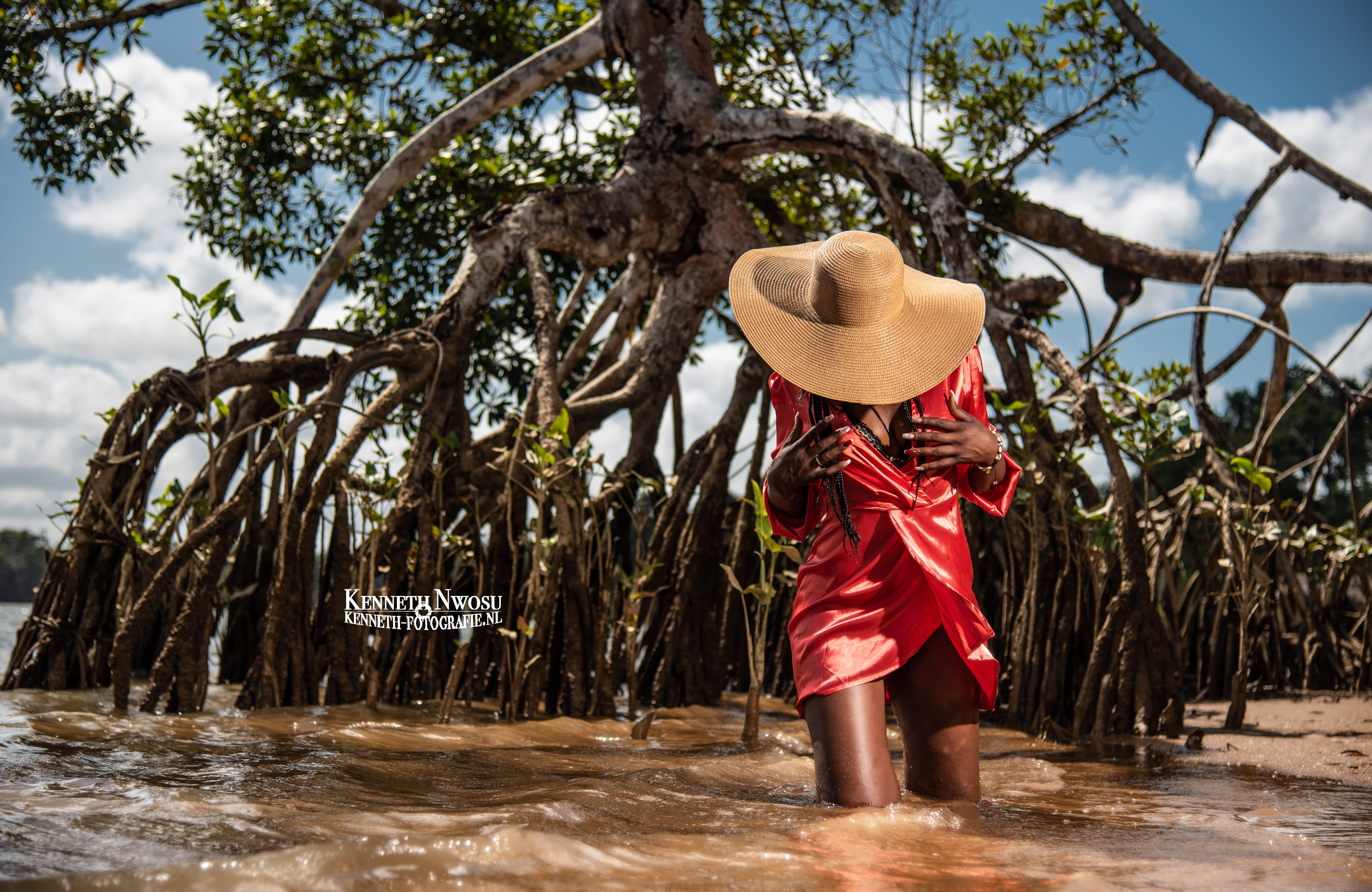 Mangrove shoot 2 Suriname